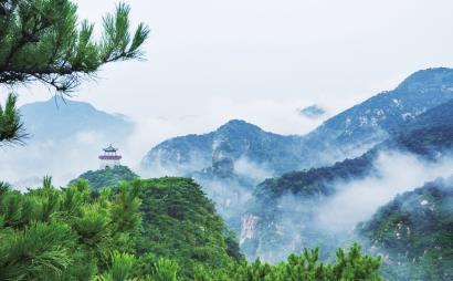 苏州工业园区闻涛苑社区剪纸迎新春